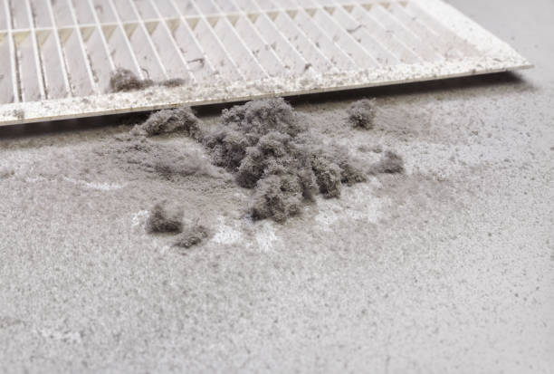 Best Affordable HVAC Duct Cleaning  in Osgood, IN
