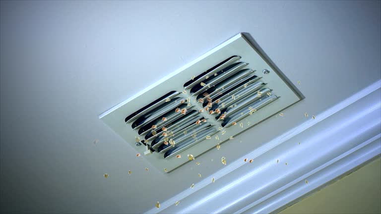 Best Commercial Air Duct Cleaning  in Osgood, IN