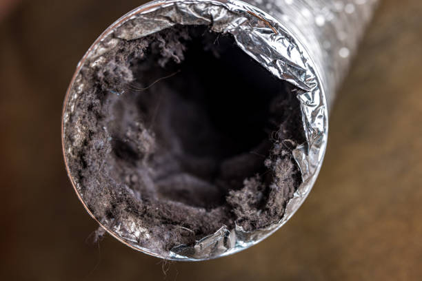 Best HVAC Air Duct Cleaning  in Osgood, IN